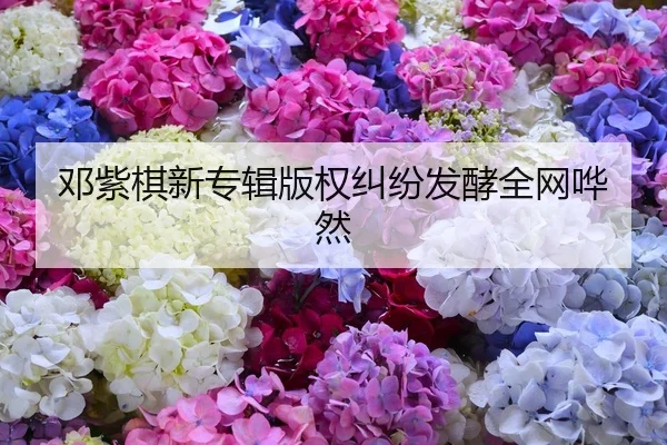 deng-zi-qi-xin-zhuan-ji-ban-quan-jiu-fen-fa-jiao-quan-wang-hua-ran-1-951.jpg